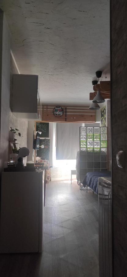 Saltillo Alto White Studio 토레몰리노스 외부 사진